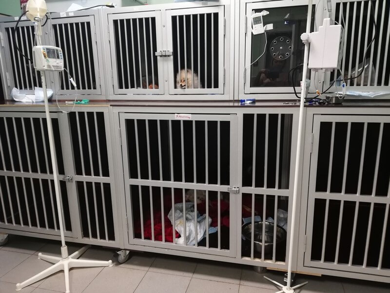 Ветеринарный стационар